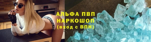 соль ск Надым