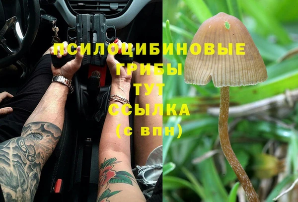 соль ск Надым