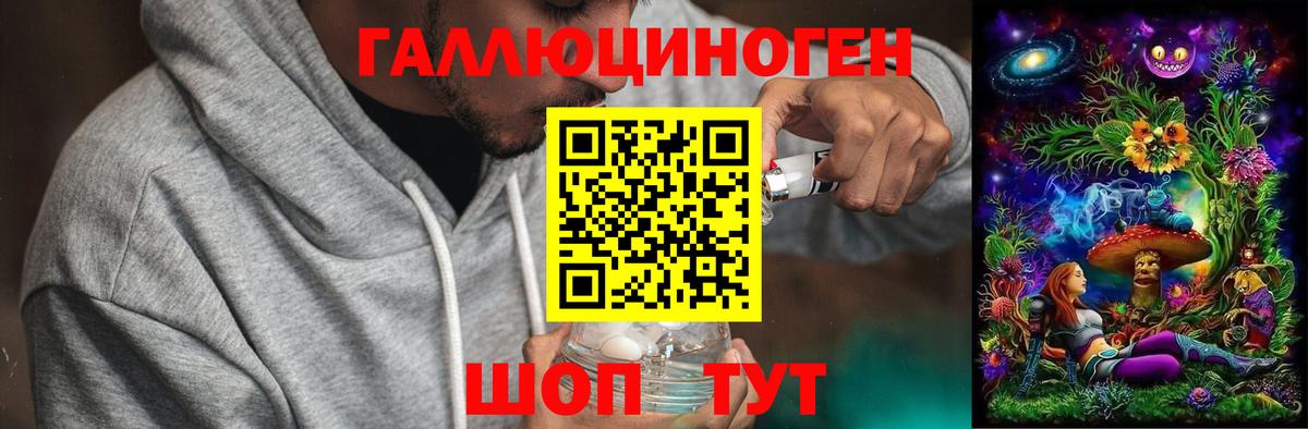 Псилоцибиновые грибы ЛСД  Галлюциногенные грибы Psilocybine cubensis  Нурлат  Вход с VPN 