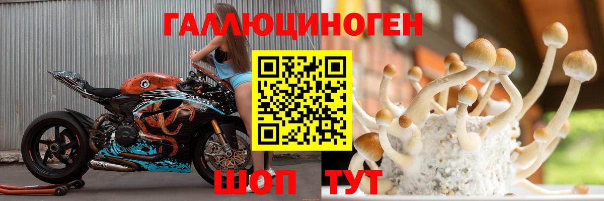 Галлюциногенные грибы GOLDEN TEACHER Нурлат